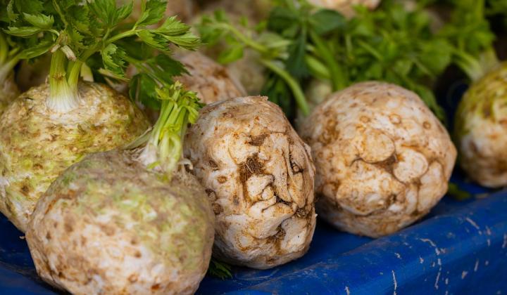 Jak využít celer – jako zeleninu, koření i lék | recept na pomazánku Jak využít celer – jako zeleninu, koření i lék | recept na pomazánku