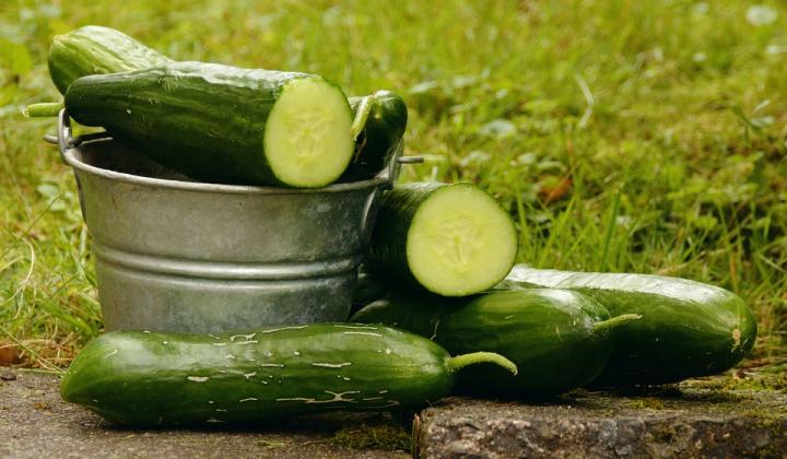 Jak udělat studenou okurkovou polévku | recept na netradiční polévku Jak udělat studenou okurkovou polévku | recept na netradiční polévku