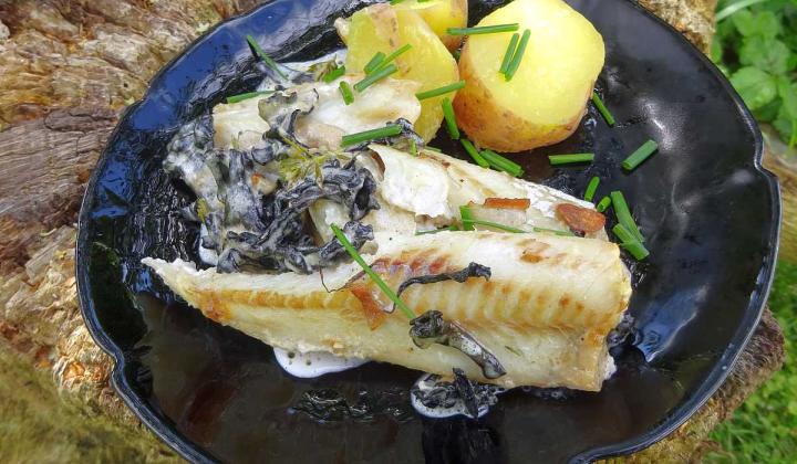 Jak upéct tresku se smetanou a stročky | recept s houbami Jak upéct tresku se smetanou a stročky | recept s houbami