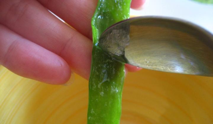 Jak získat a použít gel z aloe Jak získat a použít gel z aloe
