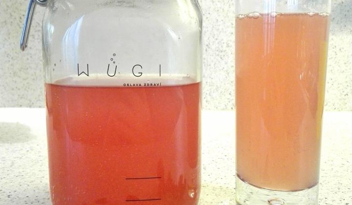 Jak na fermentovanou limonádu z šípků a brusinek | recept Jak na fermentovanou limonádu z šípků a brusinek | recept