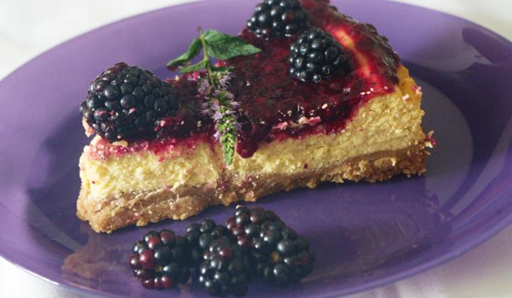 Jak připravit jednoduchý pečený cheesecake s ostružinami | nejlepší recept Jak připravit jednoduchý pečený cheesecake s ostružinami | nejlepší recept