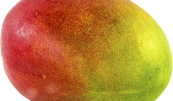 Jak si doma vypěstovat mango Jak si doma vypěstovat mango
