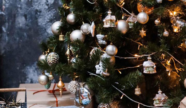 vánoční stromeček mojvianocnystromcek.sk vánoční stromeček mojvianocnystromcek.sk