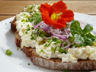 Jak udělat bramborovou pomazánku na chlebíčky | recept Jak udělat bramborovou pomazánku na chlebíčky | recept
