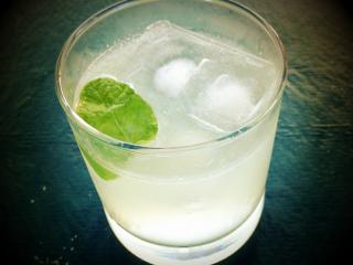 Jak připravit Gin s Tonikem | recept Jak připravit Gin s Tonikem | recept