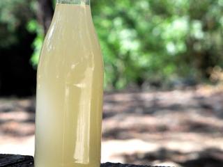 Jak si vyrobit domácí medové pivo Jak si vyrobit domácí medové pivo