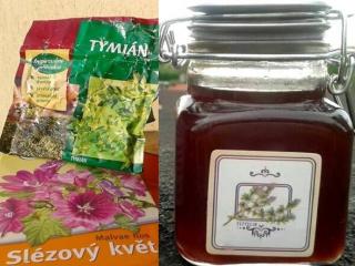 Jak si vyrobit účinný tymiánový sirup proti kašli Jak si vyrobit účinný tymiánový sirup proti kašli