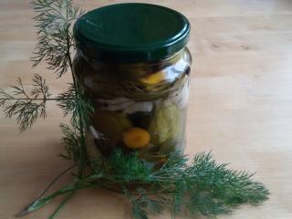 Jak zavařovat okurky alá znojemské: rychle a bez přípravy láku | recept Jak zavařovat okurky alá znojemské: rychle a bez přípravy láku | recept