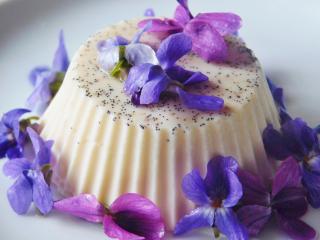 Jak připravit fialkovou panna cottu | recept Jak připravit fialkovou panna cottu | recept