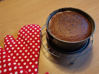 Jak upéct vynikající dort s krémem ze Salka | recept