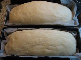 Jak na domácí toastový chléb | recept Jak na domácí toastový chléb | recept