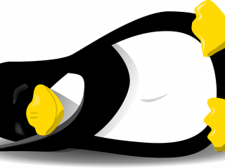 Jak na instalaci operačního systému Linux? | rady Jak na instalaci operačního systému Linux? | rady