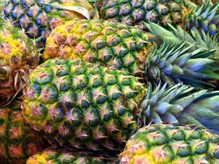 Jak pěstovat ananas | rady Jak pěstovat ananas | rady