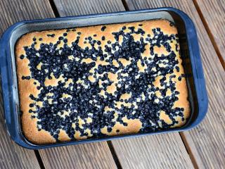Jak udělat ořechovou bublaninu | recept Jak udělat ořechovou bublaninu | recept