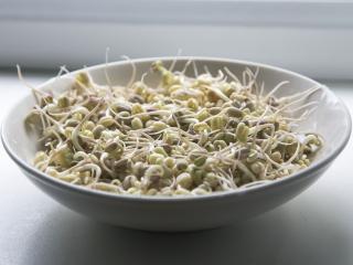 Jak připravit salát s klíčky mungo | recept Jak připravit salát s klíčky mungo | recept