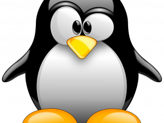 Jak postupovat při práci s operačním systémem Linux? | rady Jak postupovat při práci s operačním systémem Linux? | rady